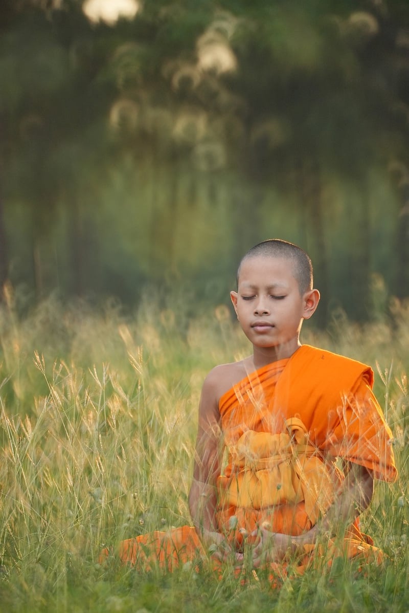 Meditation and body awareness